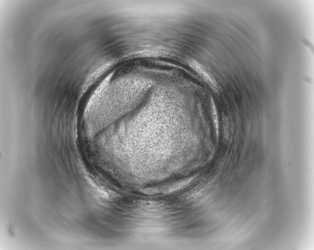 X0000093430486200711021037