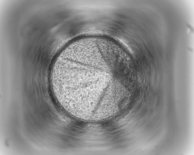 X0000093430487200711021037