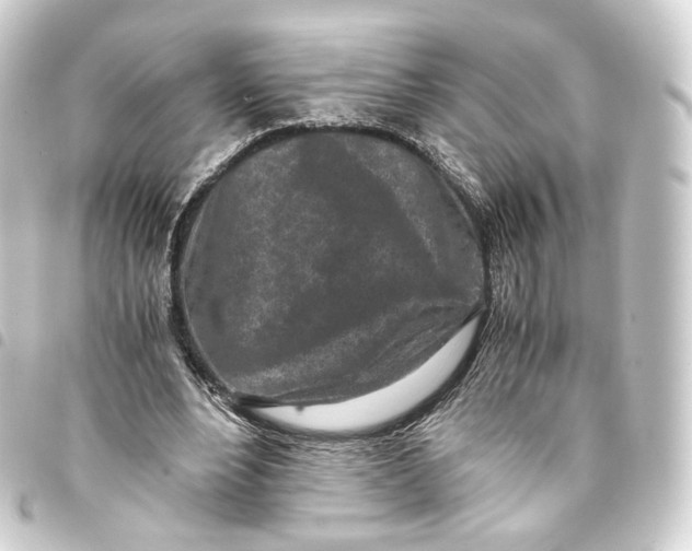 X0000093430488200711021037