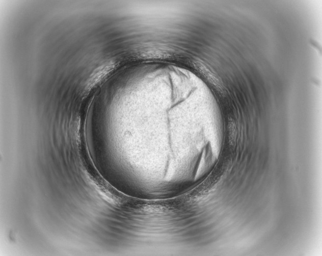 X0000093430490200711021037