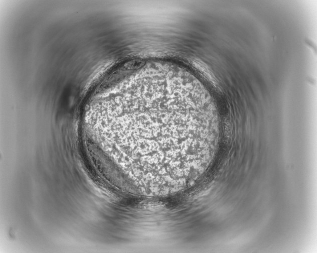 X0000093430491200711021037