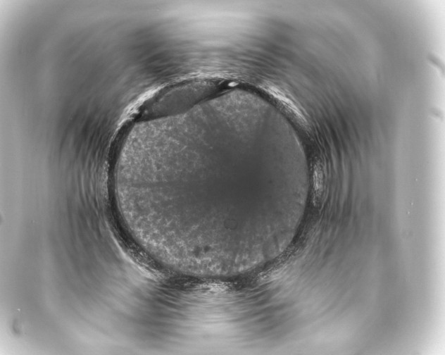 X0000093430492200711021037