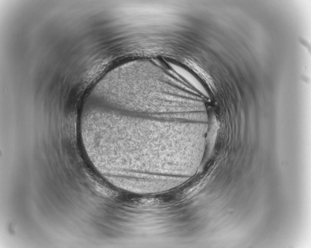 X0000093430493200711021037