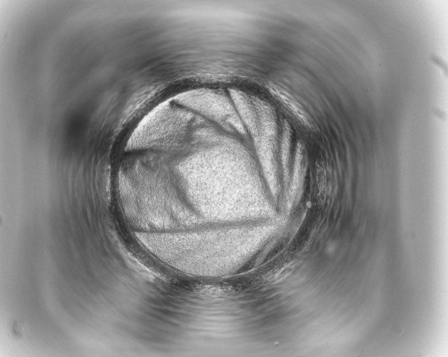 X0000093430494200711021037