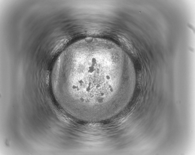 X0000093430495200711021037