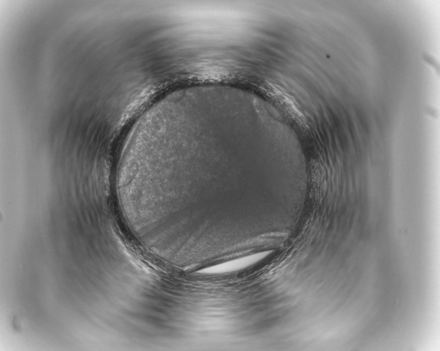 X0000093430496200711021037