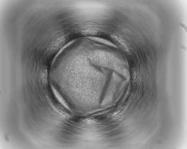 X0000093430498200711021037