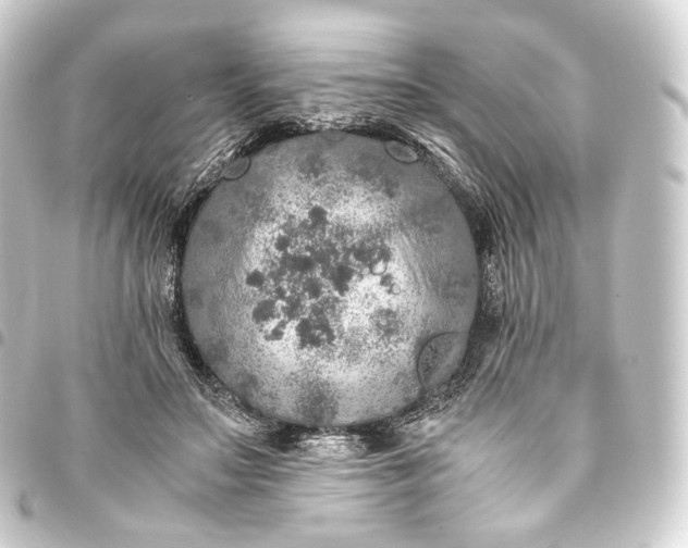 X0000093430499200711021037