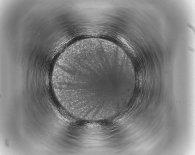 X0000093430500200711021037