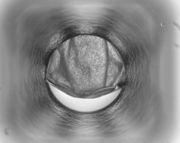 X0000093430501200711021037