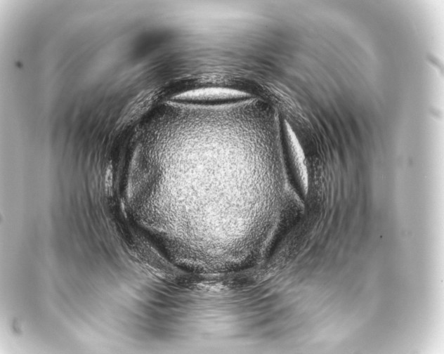 X0000093430502200711021037