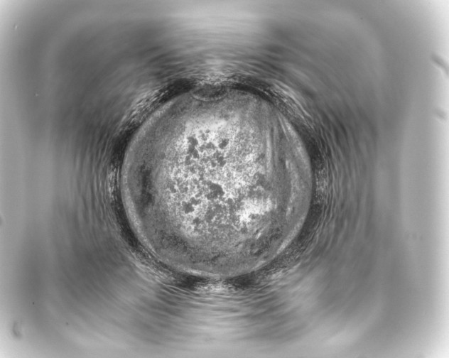 X0000093430503200711021037