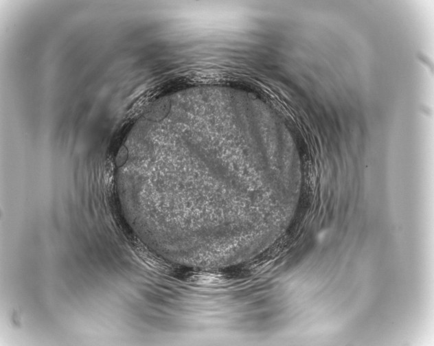 X0000093430507200711021037