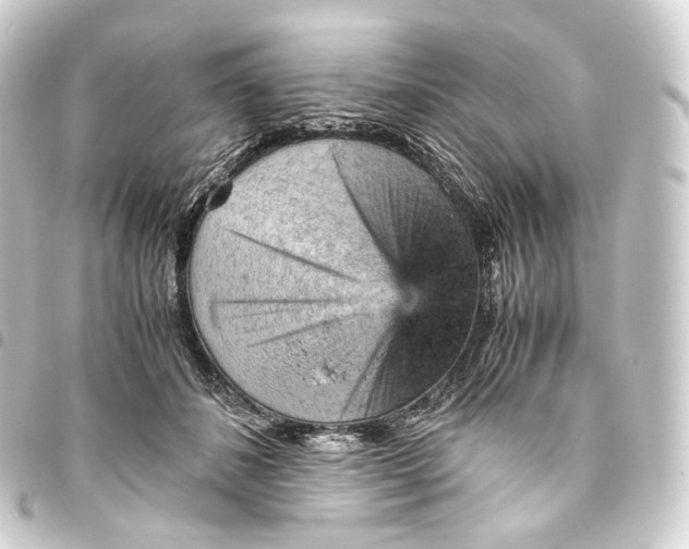 X0000093430508200711021037