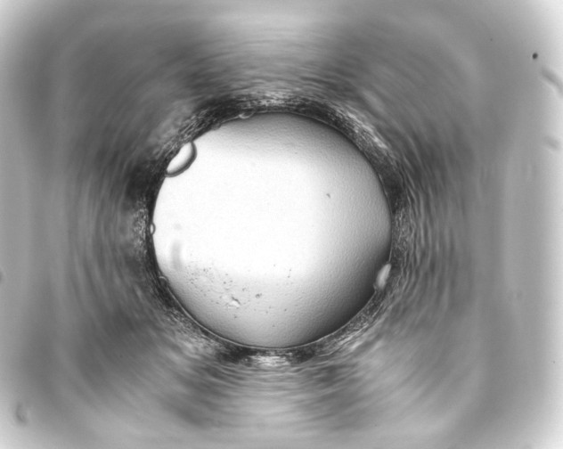 X0000093430509200711021037