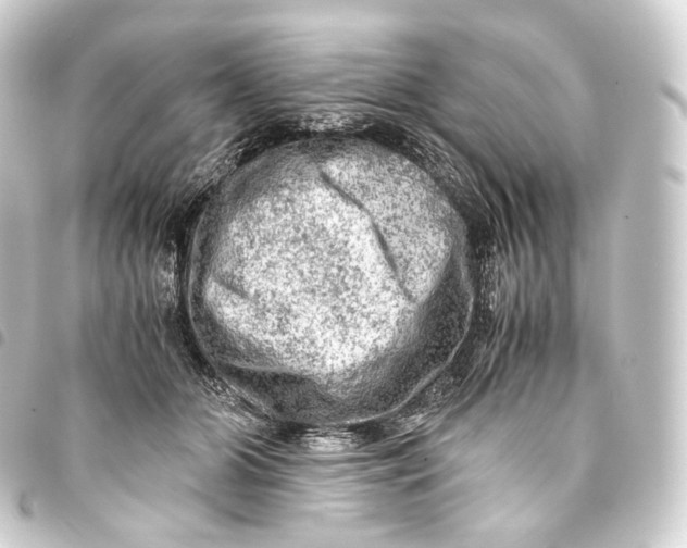 X0000093430510200711021037