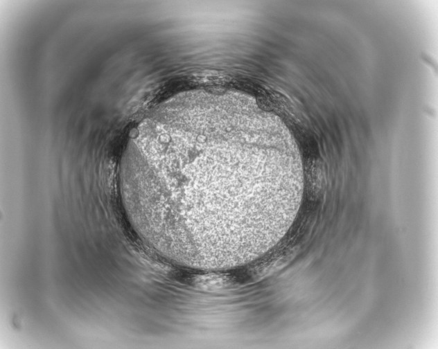 X0000093430511200711021037