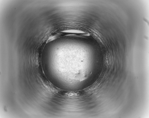 X0000093430512200711021037