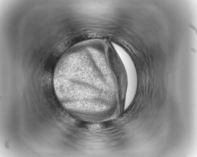 X0000093430513200711021037