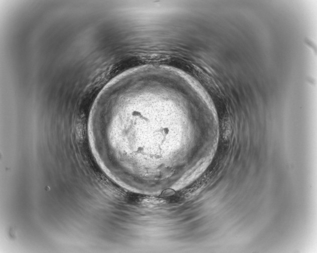 X0000093430515200711021037