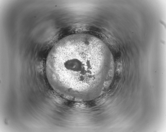 X0000093430519200711021037