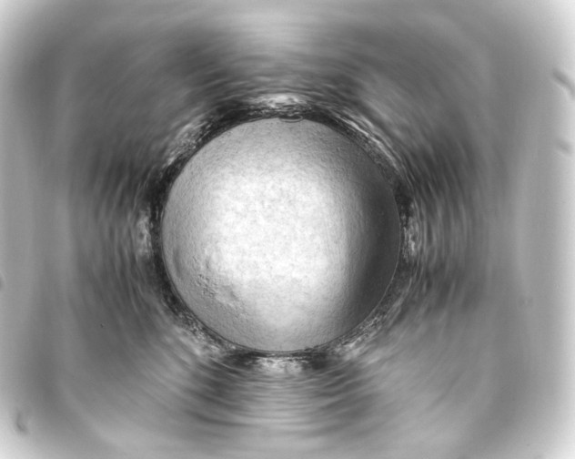 X0000093430520200711021037