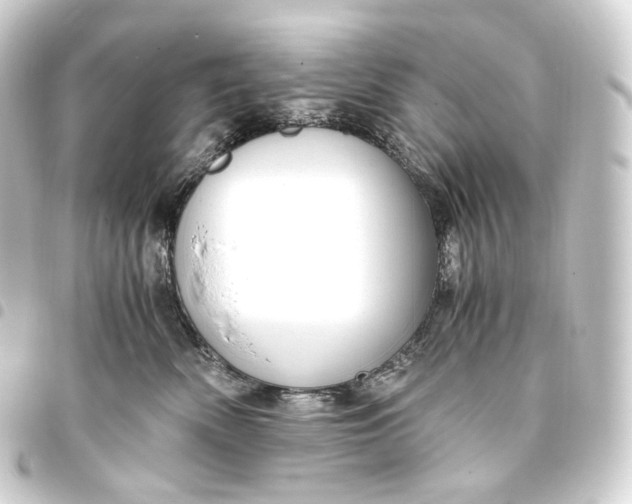 X0000093430522200711021037