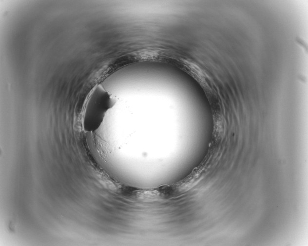 X0000093430525200711021037