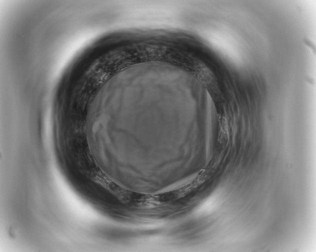 X0000093430526200711021037