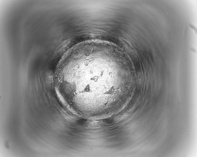 X0000093430527200711021037