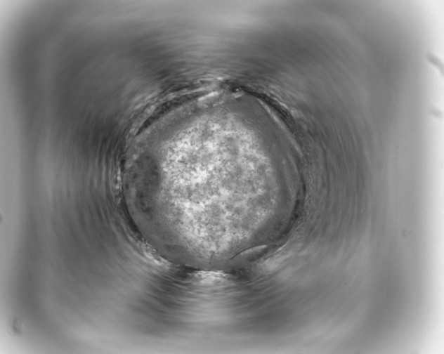 X0000093430528200711021037