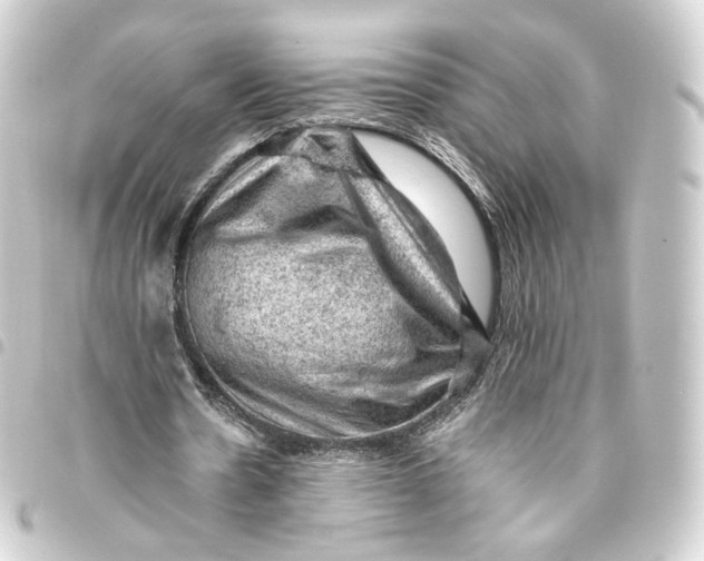 X0000093430530200711021036