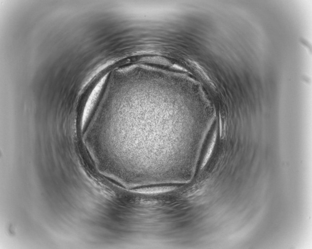 X0000093430531200711021036