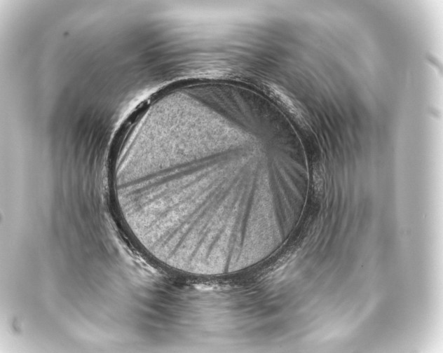 X0000093430532200711021036