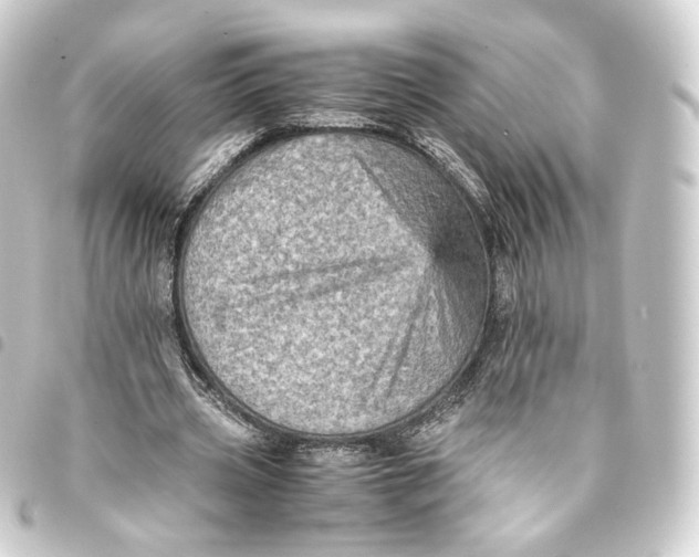 X0000093430533200711021036