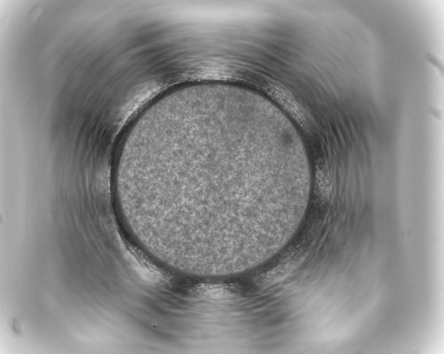 X0000093430534200711021036