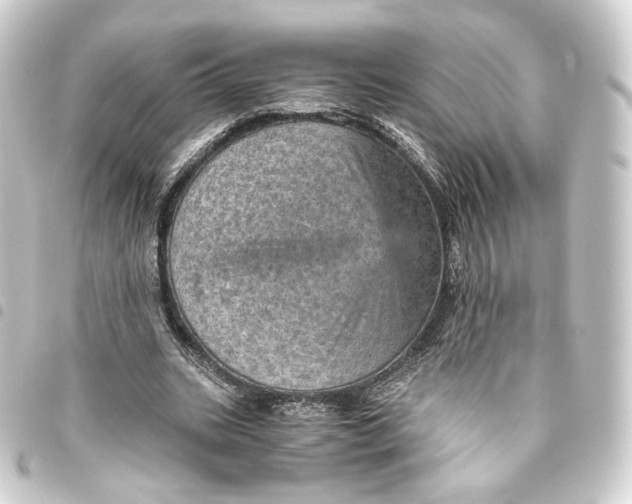 X0000093430535200711021036