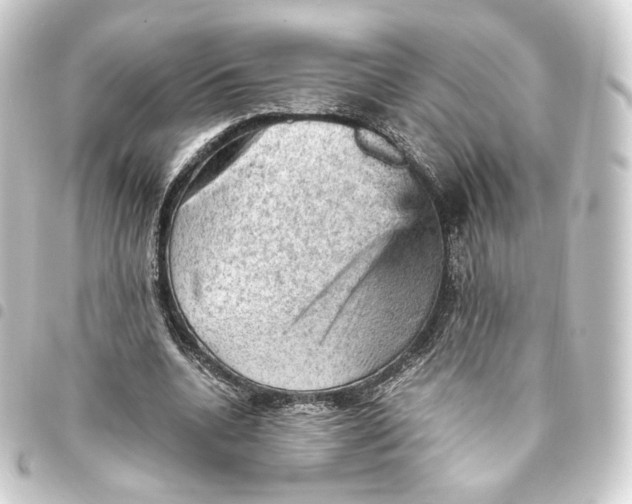 X0000093430536200711021036