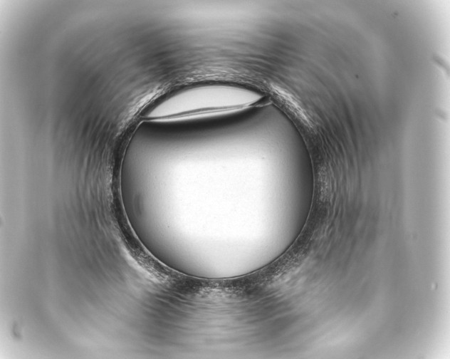 X0000093430538200711021036