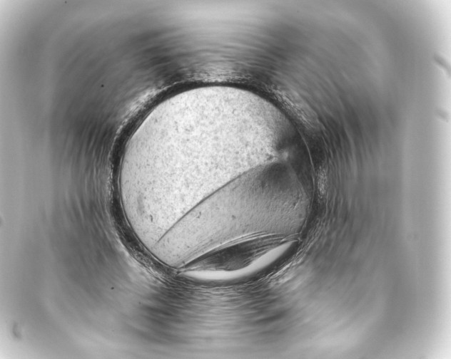 X0000093430540200711021036