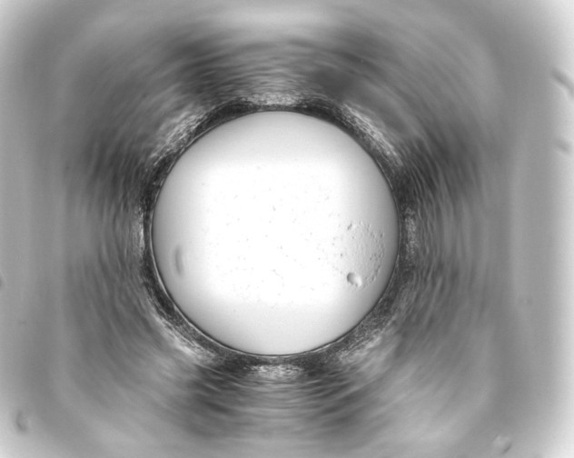 X0000093430541200711021036