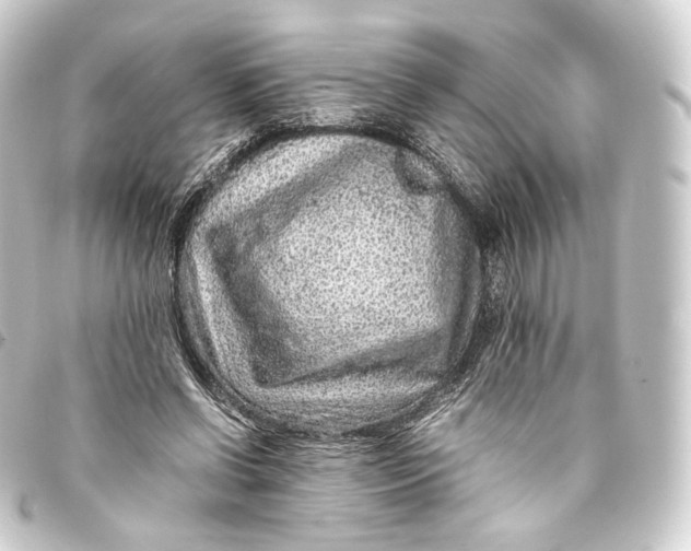 X0000093430542200711021036