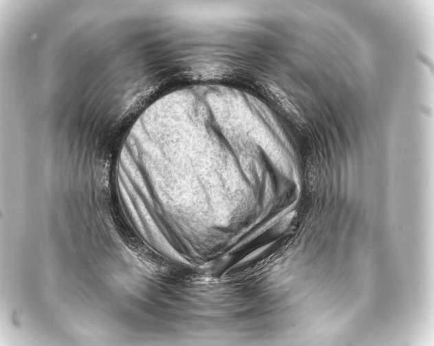 X0000093430543200711021036