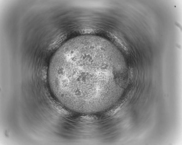 X0000093430545200711021036