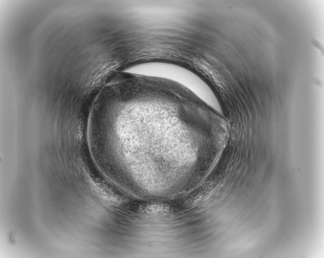 X0000093430546200711021037