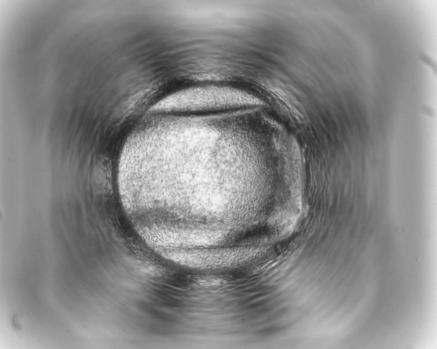 X0000093430547200711021037