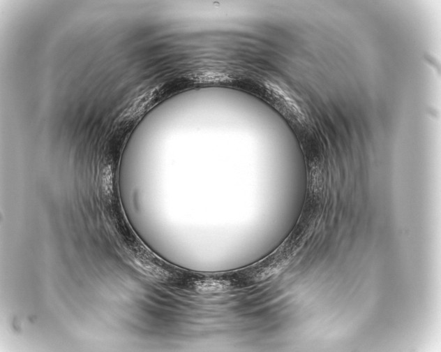 X0000093430549200711021037