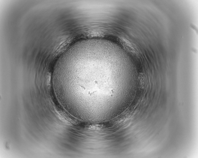 X0000093430550200711021037