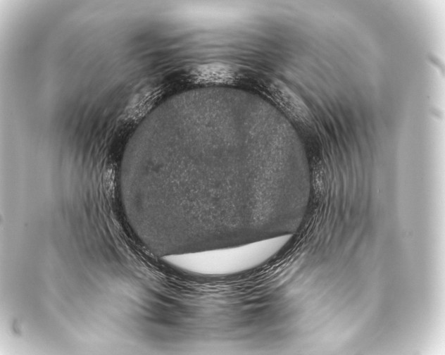 X0000093430551200711021037