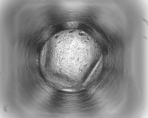 X0000093430553200711021037